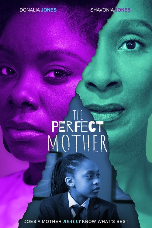 Movie poster for The Perfect Mother (2024)