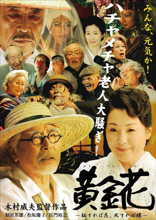 Movie poster for Golden Flower: What Is Hidden Is the True Flower, What Is Gone Is the Butterfly (2009)