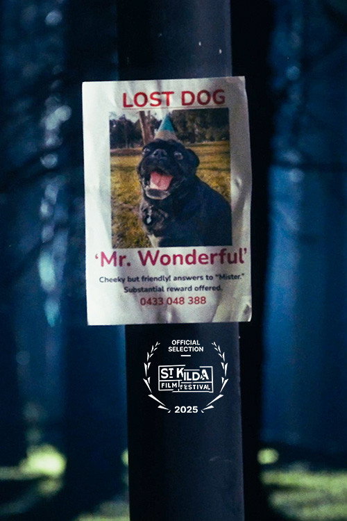 Movie poster for Mr. Wonderful