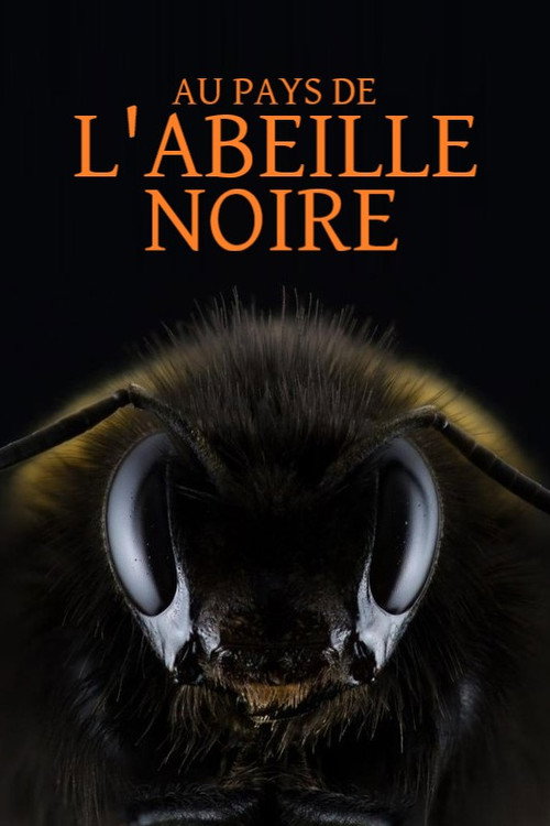 Movie poster for Au pays de l'abeille noire (2023)