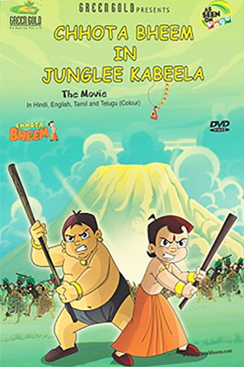 Movie poster for Chhota Bheem: The Broken Amulet (2013)