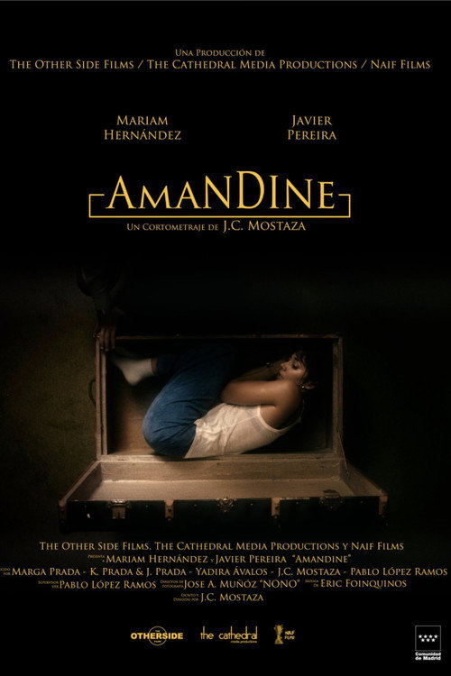 Movie poster for Amandine (2019)