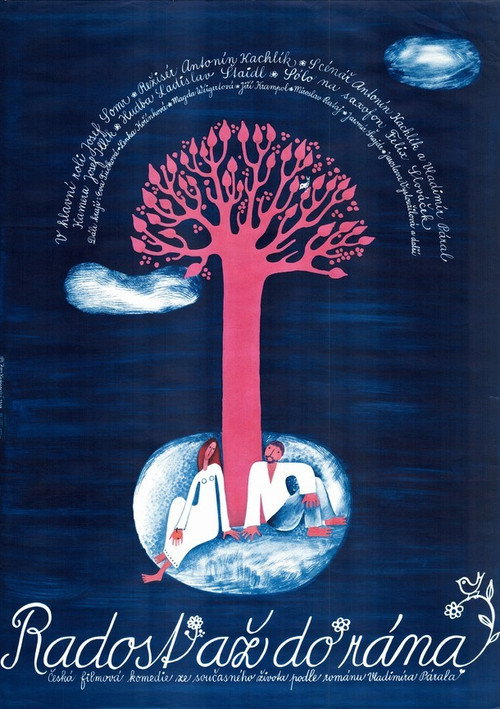 Movie poster for Radost až do rána (1979)