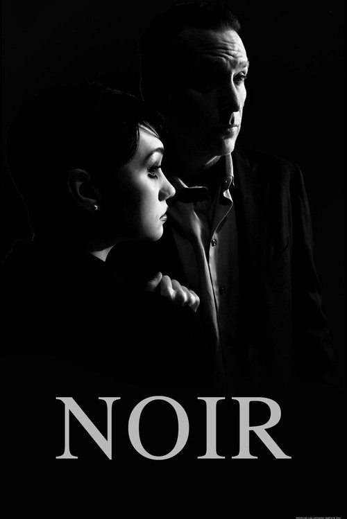 Movie poster for Noir