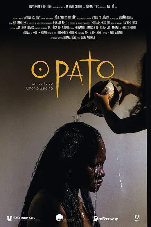 Movie poster for O Pato (2021)