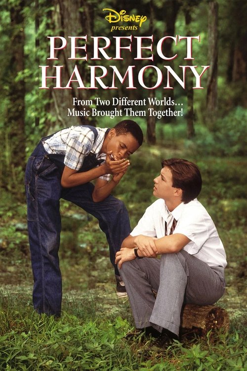 Movie poster for Perfect Harmony (1991)