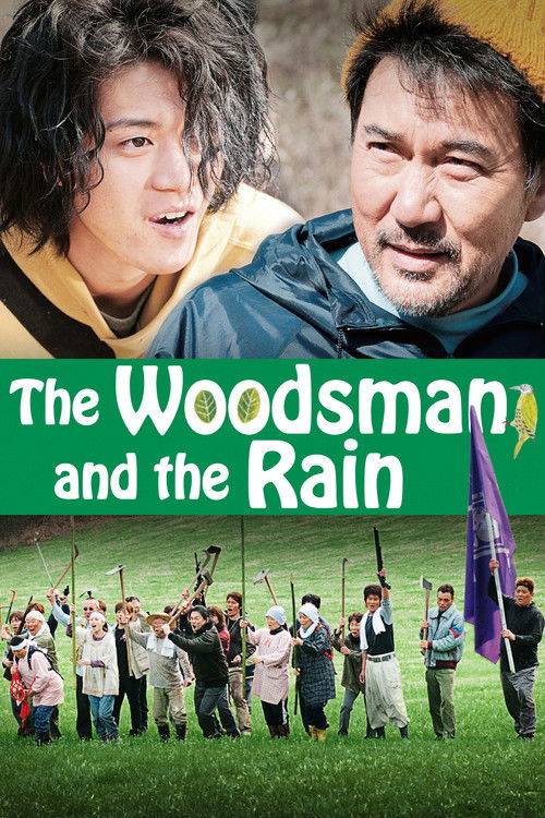 Movie poster for The Woodsman and the Rain (2012)