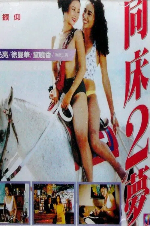 Movie poster for The Lady Punisher (1994)