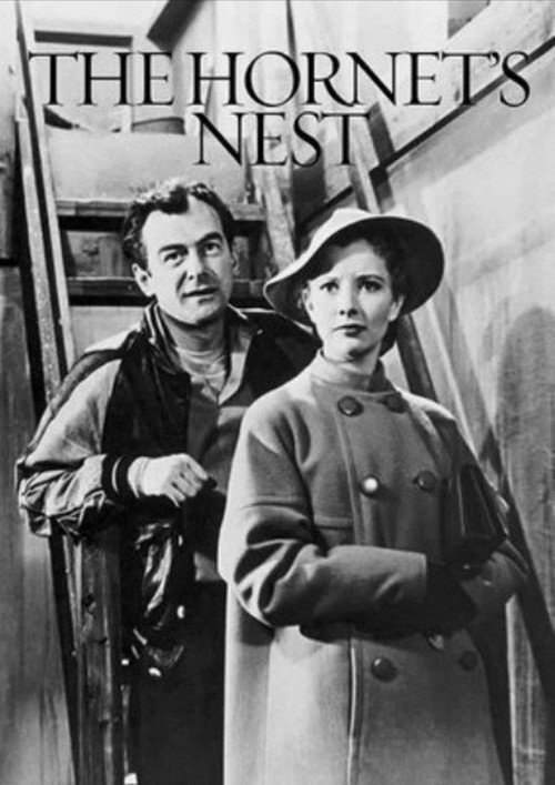 Movie poster for The Hornet's Nest (1955)
