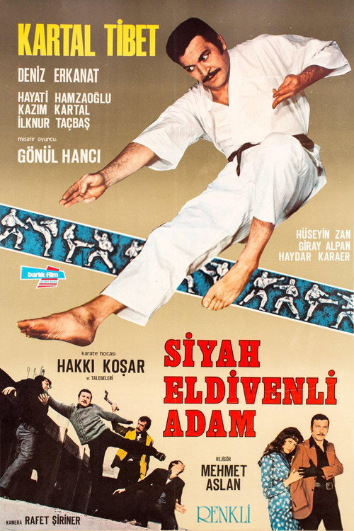 Movie poster for Siyah Eldivenli Adam (1973)