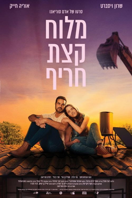 Movie poster for Salty Somewhat Spicy
