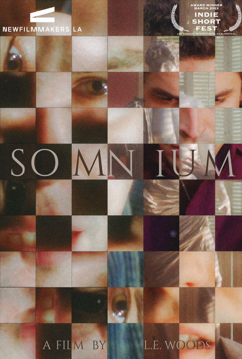 Movie poster for Somnium (2022)