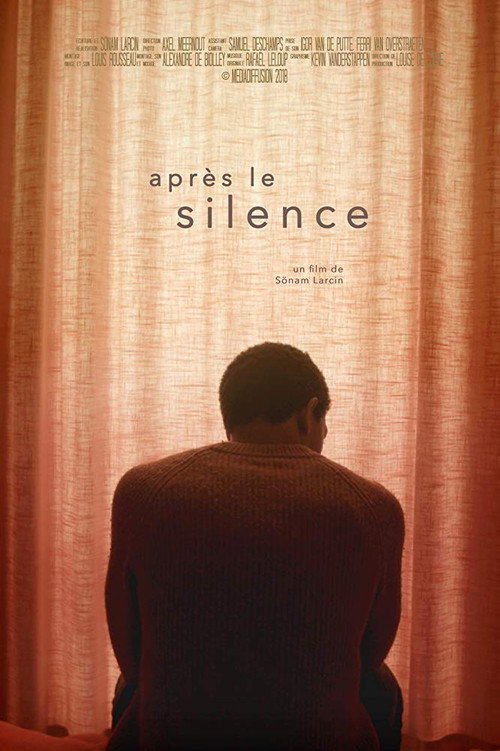 Movie poster for After the Silence (2018)