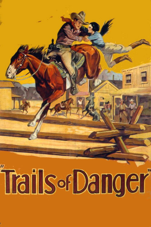 Movie poster for Trails of Danger (1930)