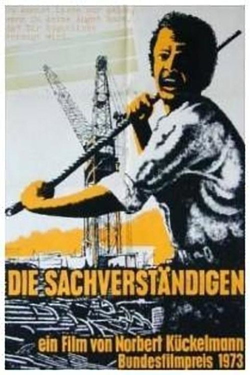 Movie poster for The Experts (1973)