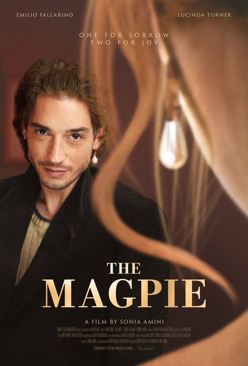 Movie poster for The Magpie