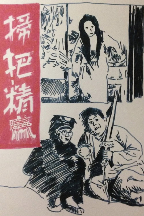 Movie poster for Spirit of the Broom (1939)