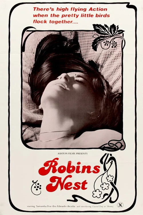 Movie poster for Robin's Nest (1980)
