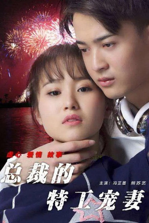 Movie poster for 总裁的特工宠妻 (2017)