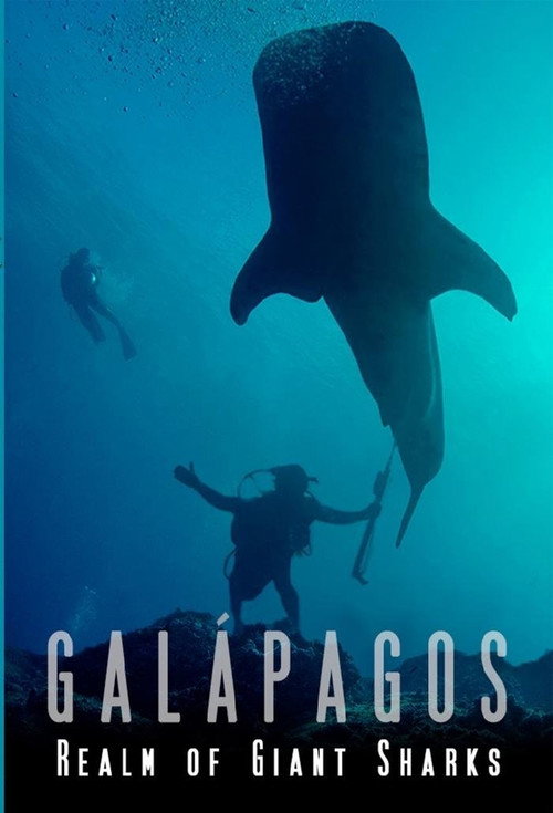 Movie poster for Galapagos Realm Of Giant Sharks (2012)