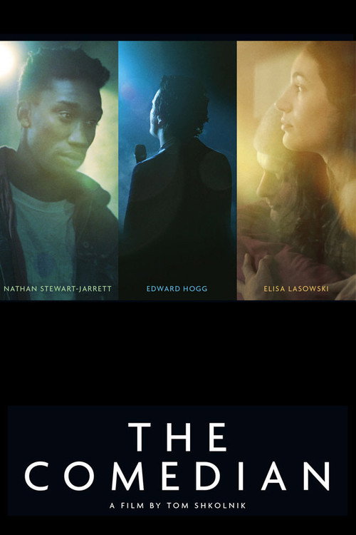 Movie poster for The Comedian (2012)