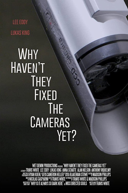 Movie poster for Why Haven't They Fixed the Cameras Yet? (2020)