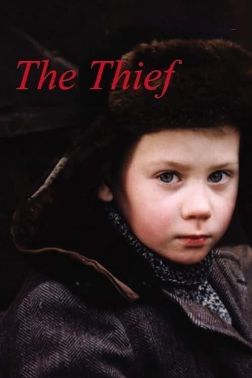 Movie poster for The Thief (1997)