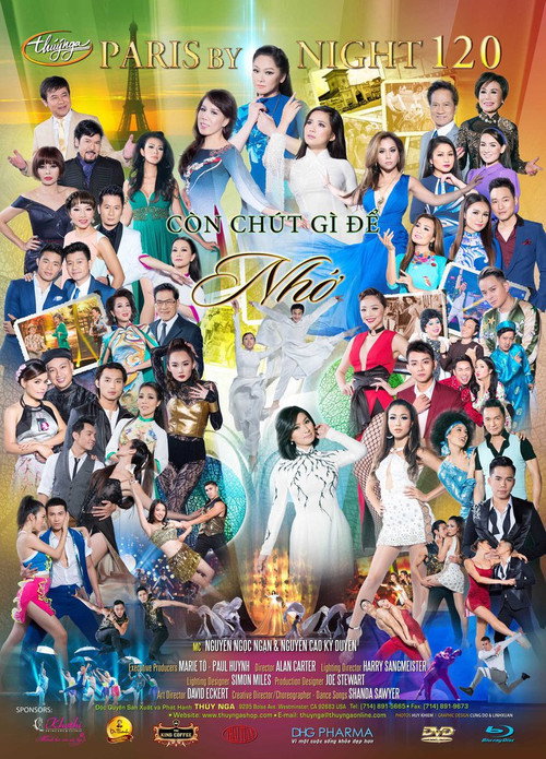 Movie poster for Paris by Night 120: Còn Chút Gì Để Nhớ (2016)