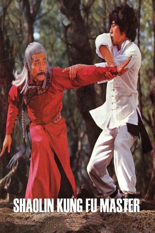 Movie poster for Shaolin Kung Fu Master (1978)
