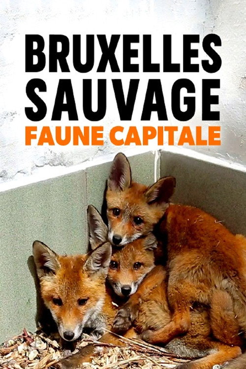 Movie poster for Brussels, the Wild Side (2015)
