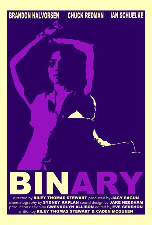 Movie poster for Binary