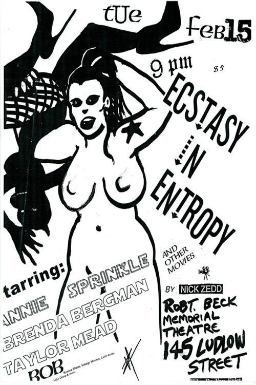 Movie poster for Ecstasy in Entropy (1999)