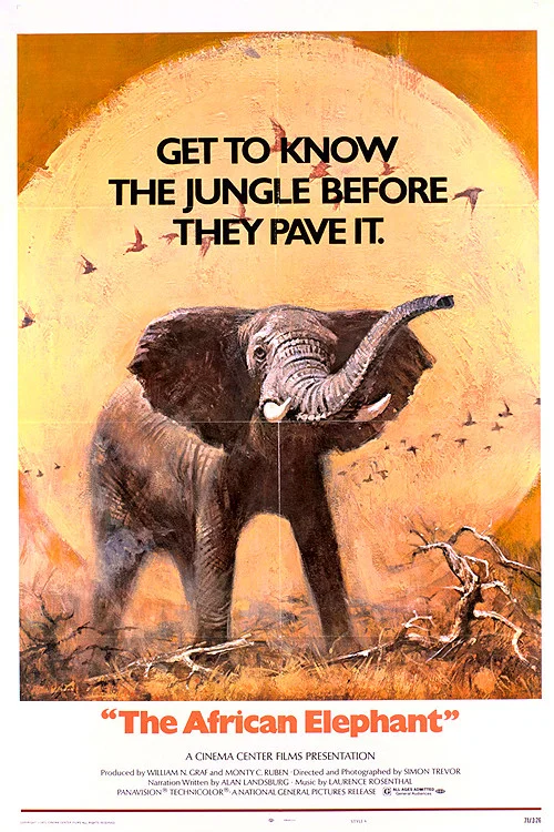 Movie poster for The African Elephant (1971)