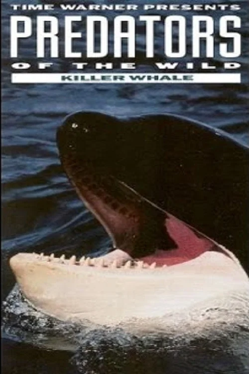 Movie poster for Predators of the Wild: Killer Whale (1992)