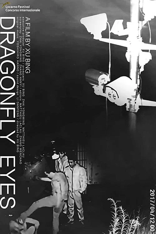 Movie poster for Dragonfly Eyes (2017)