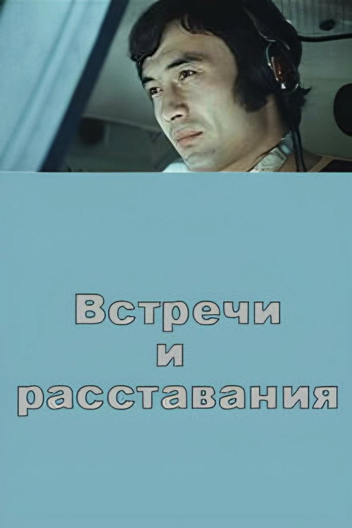 Movie poster for Meetings and Partings (1973)