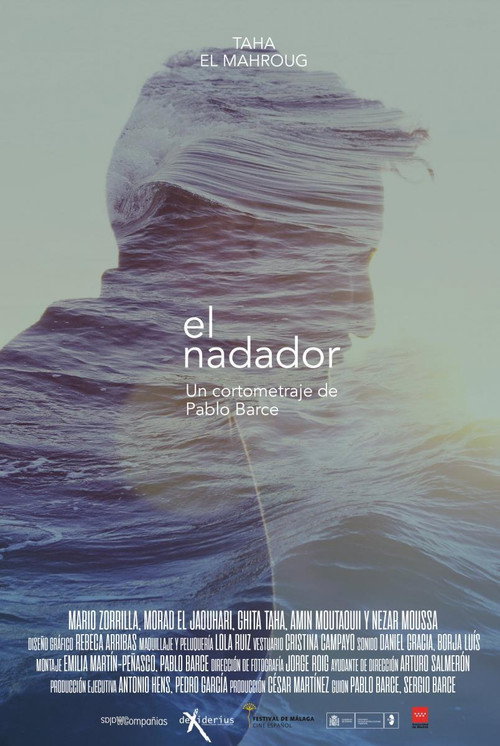 Movie poster for The Swimmer (2018)