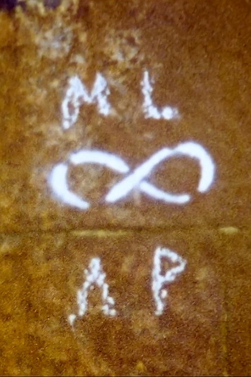 Movie poster for ML-AP (2021)