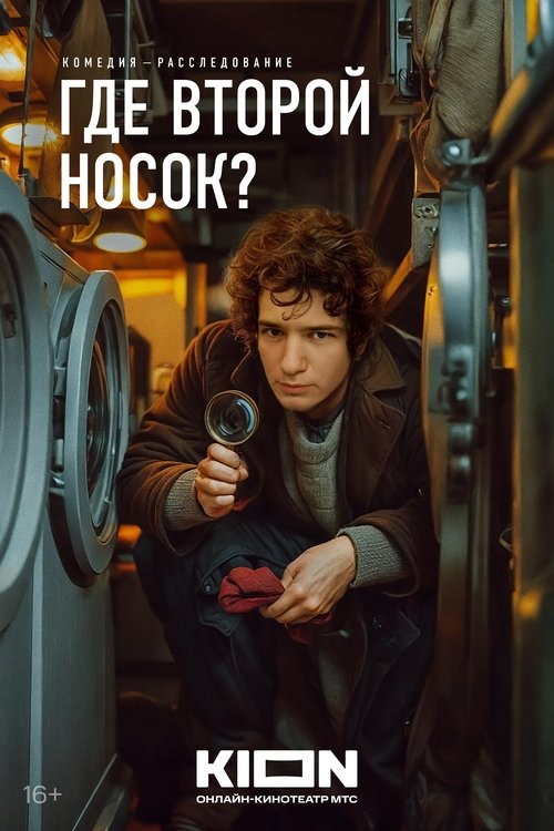 Movie poster for Where’s the Other Sock? (2024)
