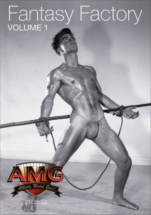 Movie poster for AMG: The Fantasy Factory (1990)