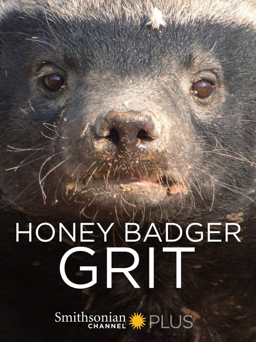 Movie poster for Honey Badger: Grit (2018)