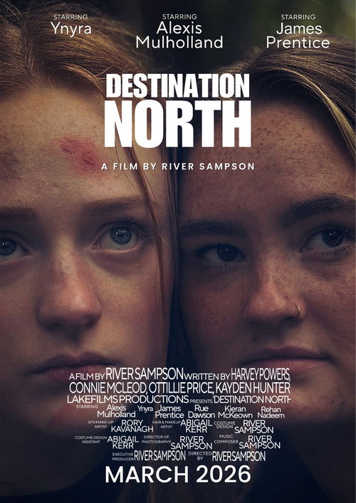 Movie poster for Destination North (2026)