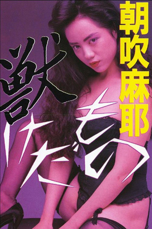 Movie poster for Woman of Dreams (1989)