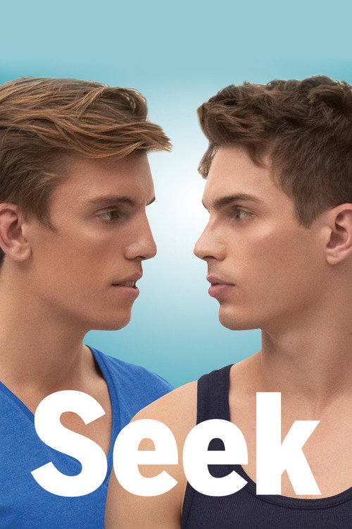 Movie poster for Seek (2015)