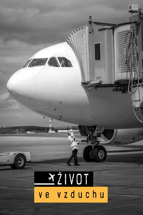 Život ve vzduchu poster