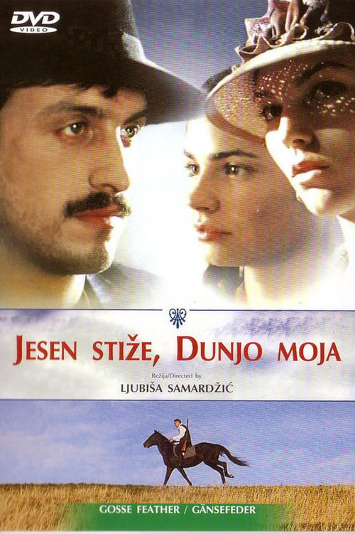Movie poster for Goose Feather (2004)
