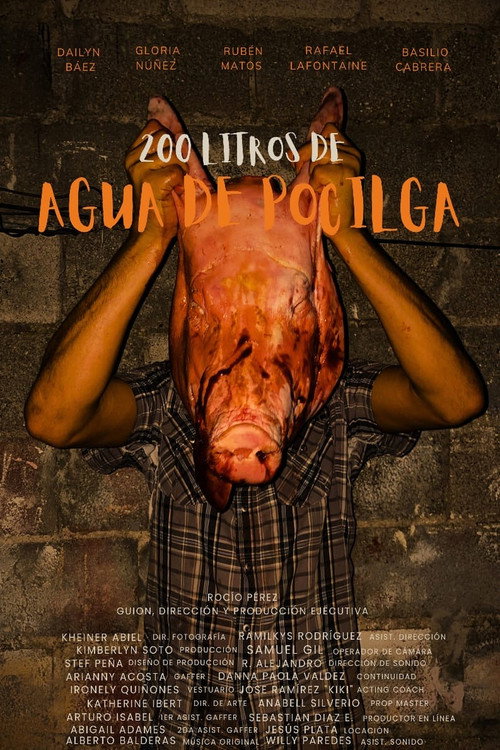 Movie poster for 200 LITERS OF PIGSTY WATER (2025)