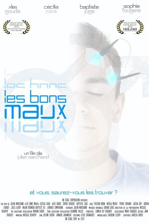 Movie poster for Les bons maux