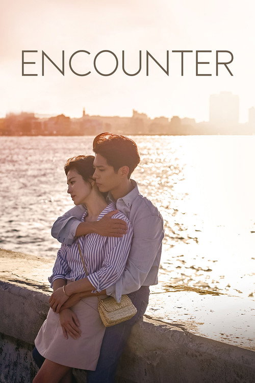 Series poster for Encounter (2018)