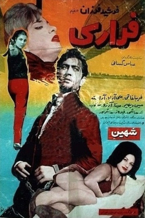 Movie poster for Fugitive (1967)